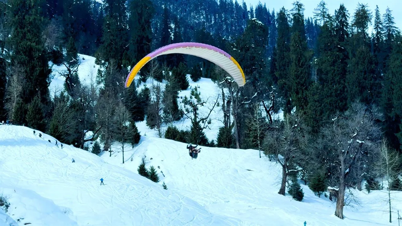 Paraglider flying over snowy pine forest in Solang Valley near Manali